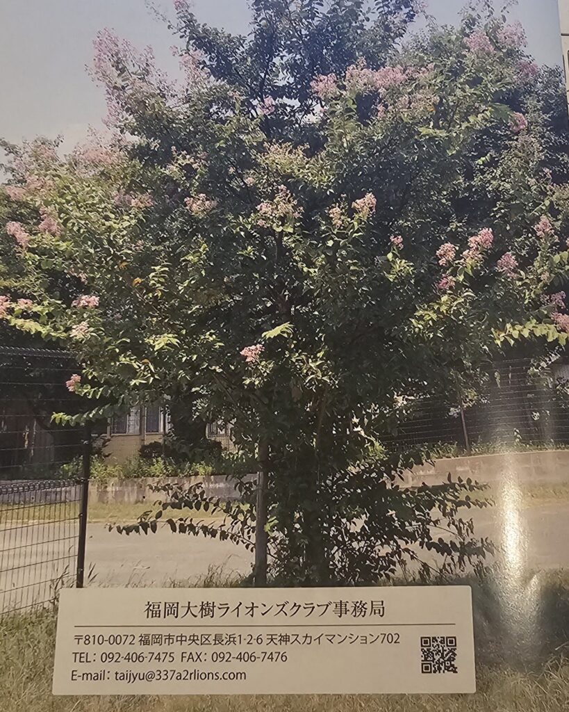 福岡ノーマライゼーションLC　福岡大樹ライオンズクラブ創立20周年記念式典祝賀会